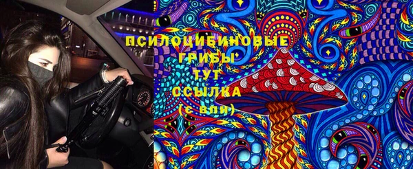 МДПВ Володарск