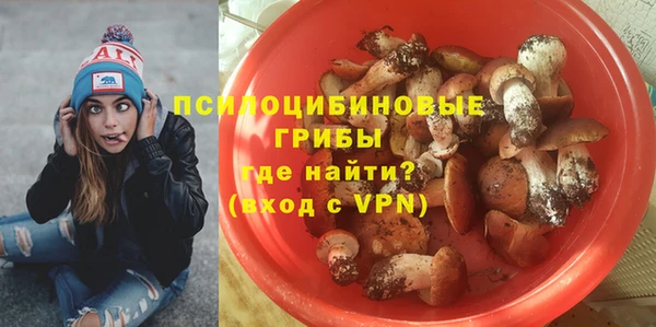 молекула духа Волосово