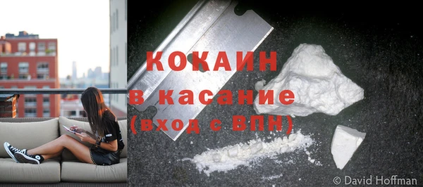 молекула духа Волосово